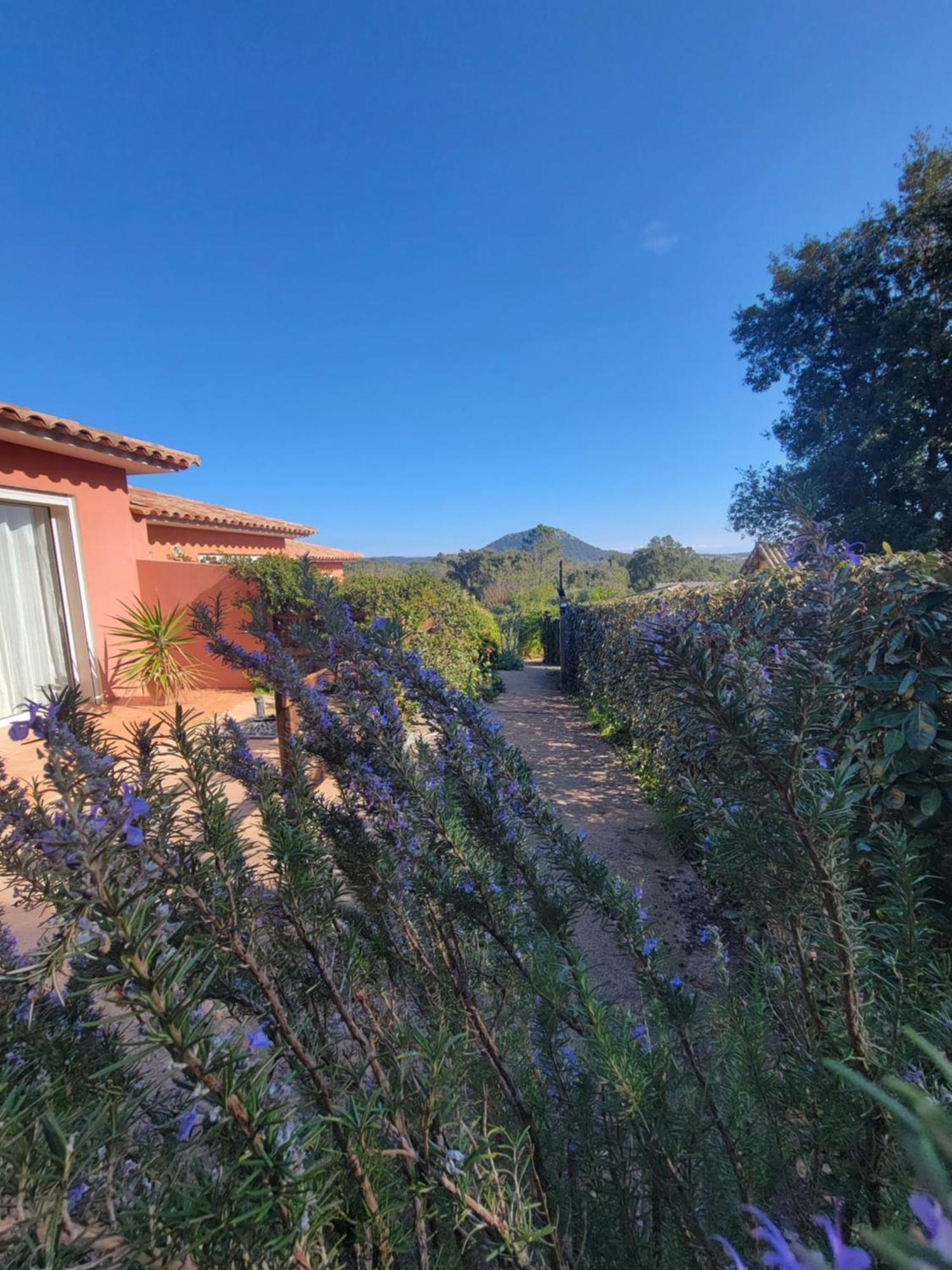 A Vigna Vecchia - Charmant 3 Pieces Sud Porto Vecchio ภายนอก รูปภาพ